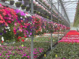 floral greenhouse
